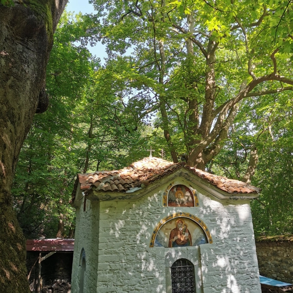 Wanderung in den Rhodopen Bergen